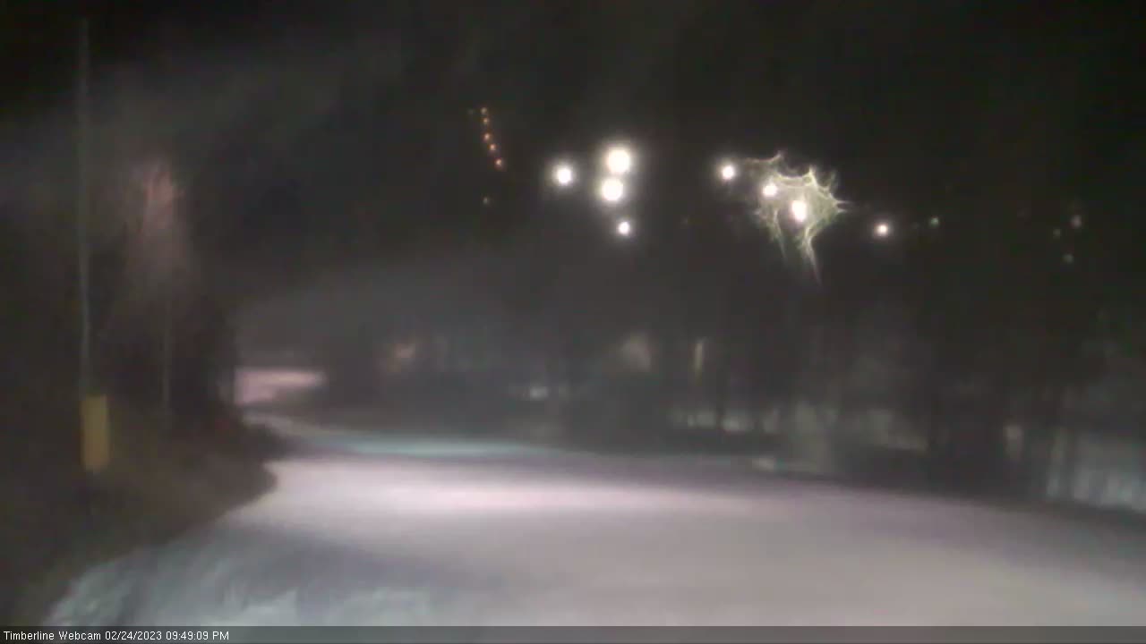 Angelcam Live video from Bear Creek Timberline camera